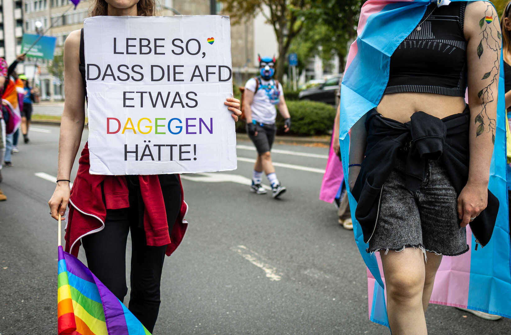 Eine Person mit Regenbogen Fahne in der Hand hält ein Demo Schild hoch mit dem Text 'Lebe so dass die AFD etwas dagegen hätte. Rechts von ihr steht eine Person mit einer Trans-Pride Flagge als Umhang. Bei deinen Personen ist der Kopf nicht zu sehen. Im Hintergrund läuft ein Pup-Player 