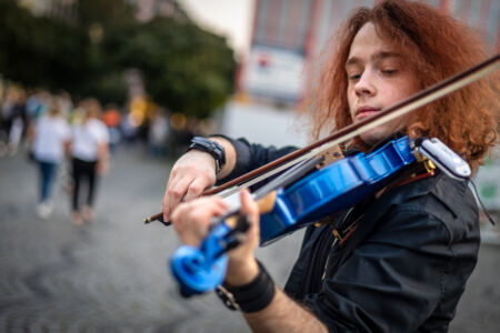 Die blaue Violine