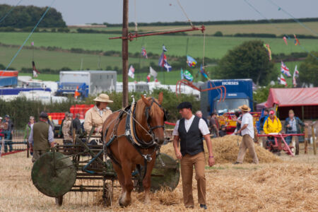 Landwirtschaft