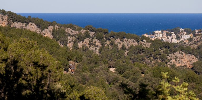 Zug in den Bergen Mallorca. Inmitten von Bäumen. Im Hintergrund ist das Meer zu sehen