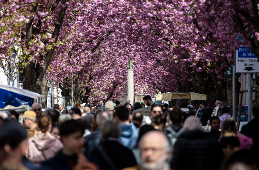 Die ganze Stadt ist rosa Pink Pink Pink
